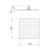Phoenix Lexi 250mm Square Shower Rose Stainless Steel